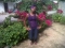 its me again