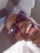 only me. frankonero.webs.com is where to be!!!!!