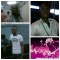 cheyyi man noni
