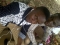 nice nd simple