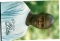 jide