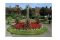 Garden OF Romance