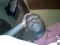 vacation pics