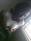 ofcourse i see you