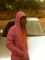 wisjay