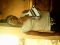 Am soo hapy to be past of najapals family. more love