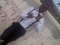 FANTASTIC ME