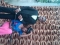 Little bros and me