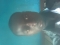 Am