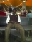 KLIA