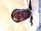 Looking Gud is Gud business