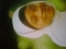 hw do i luk