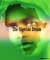 Am The Nigerian Dream