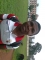 Sku boi, lyf start at bed rock levu