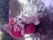 Miss Peaches and I Fishing.