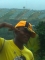 oneluv