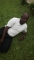 Efunbeee
