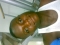 1 love