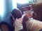 what is he reading?