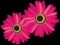A Token