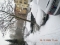 winter in germany