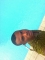 Just chiling