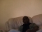 chillin'