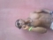 to my naija palz