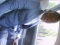 Ibro