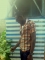 Mic tins activated