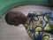 Wnt u wanna do 29t