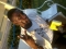Thats moi