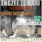 zamascrew ENGZEE ZAMANI aboki wey sorji 