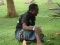pix