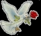 i love u