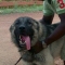 Take a look at this guy....