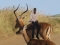 Kidepo National Game Park
