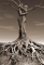 D tree of life