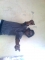 Wori do?