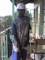 i love it when i was in jkuat