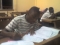 My Cousin