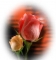 AnnHenry