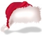 Believe it or not, I'm Father Christmas