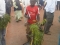 Fuel Subsidy Strike
