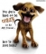 Mar Dog!