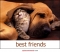 Best friend for life...