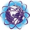Global Ace Network