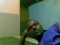 Naijarian1