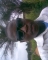 just me!