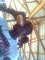 gushi tins